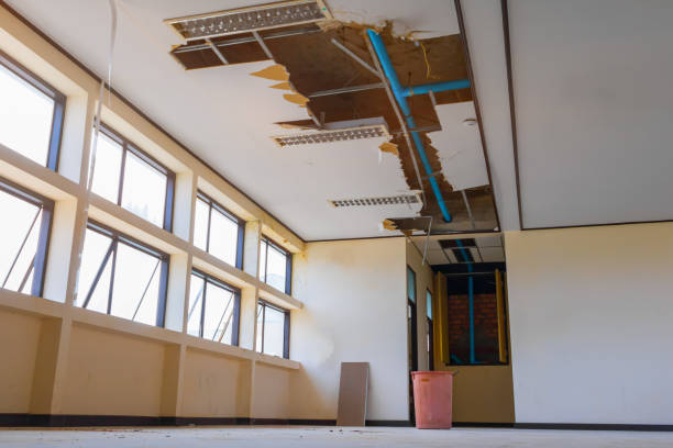 Best Local water damage restoration  in Poplarville, MS