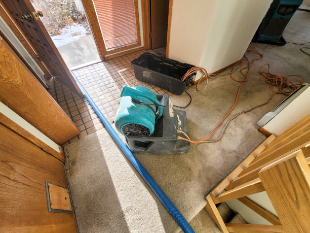 Best Water damage contractors near me  in Poplarville, MS