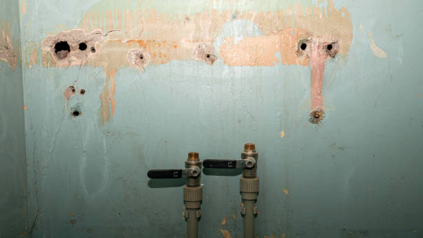 Best Basement water damage restoration  in Poplarville, MS