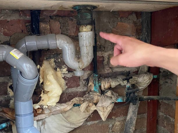 Best Water damage restoration near me  in Poplarville, MS
