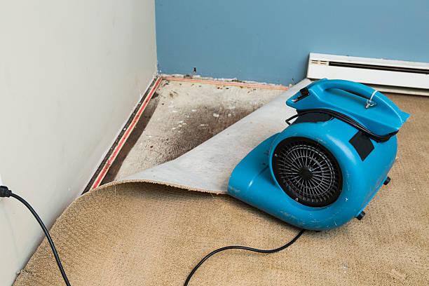 Best Residential water damage restoration  in Poplarville, MS